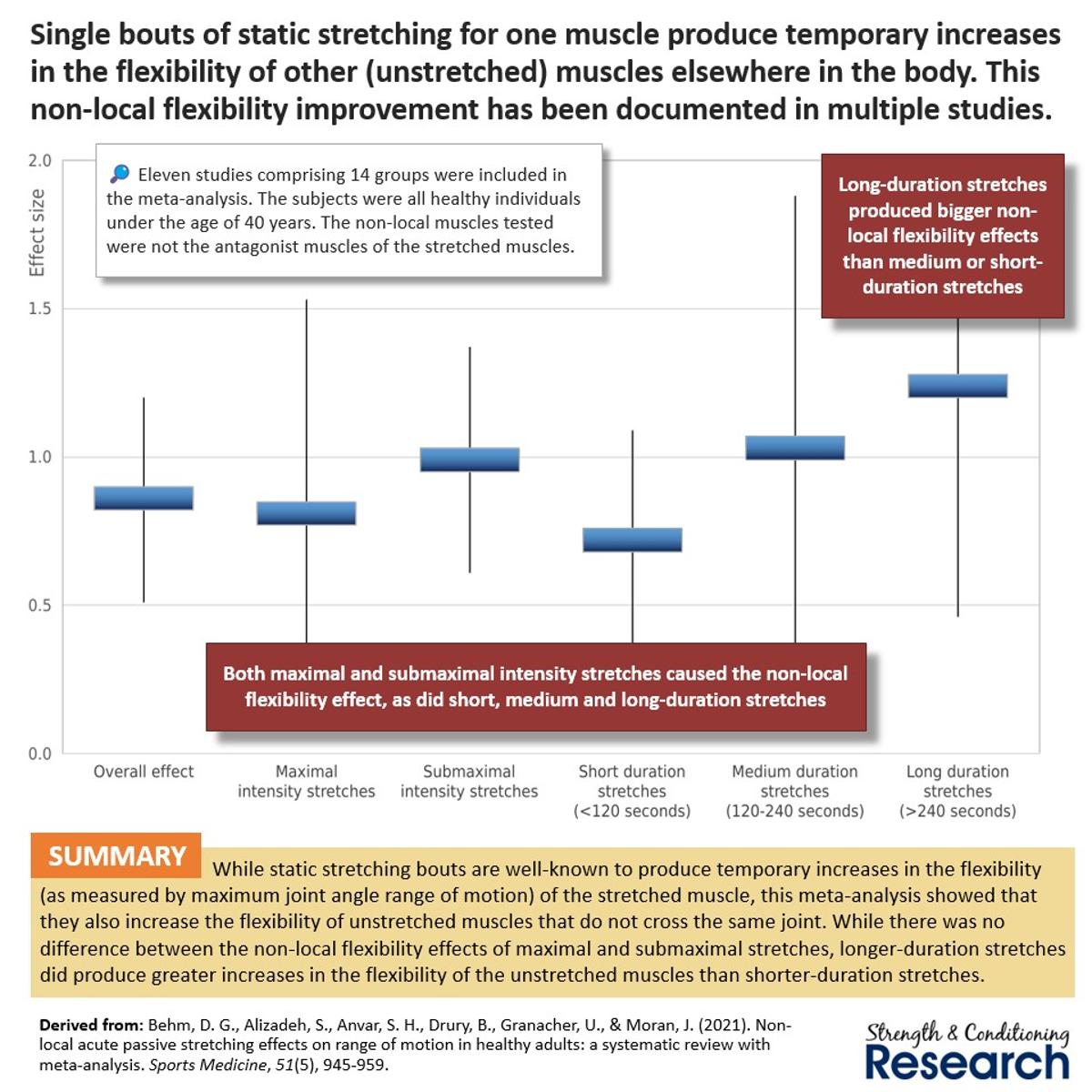 Static Stretching Boosts Whole-Body Flexibility via Tolerance