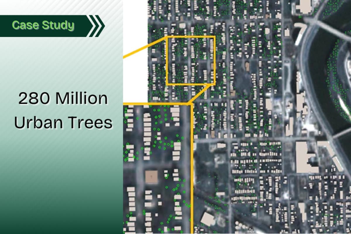 Tech Can Map NYC Trees in Under an Hour