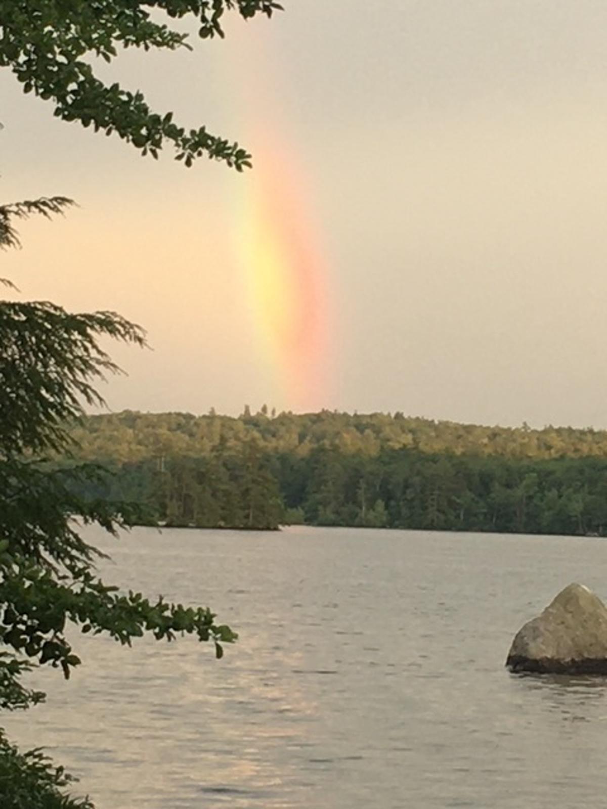 Reflecting Everywhere Shapes a Better Tomorrow