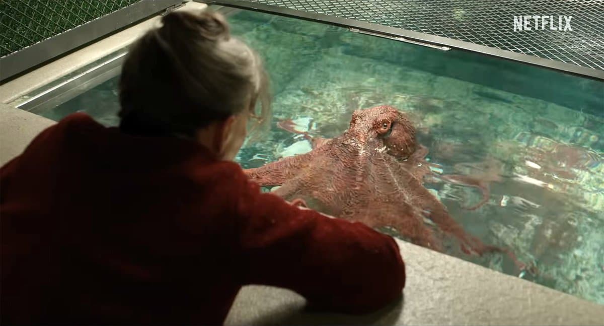 Sally Field Leads “Remarkably Bright Creatures” Trailer