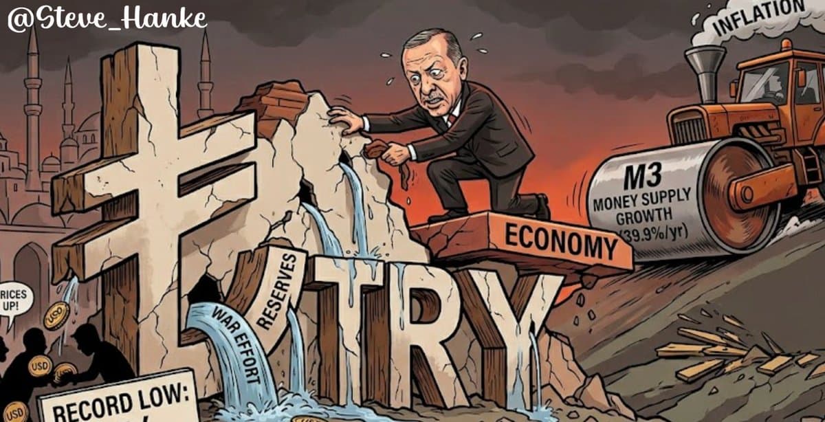 Turkey's Loose Money Policy Drives Lira to Record Low