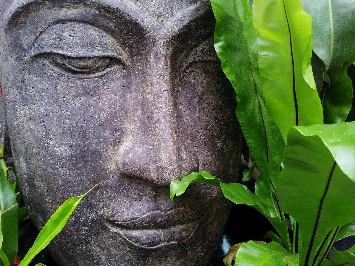 Aversion and Attachment: Buddha's Roots of Suffering