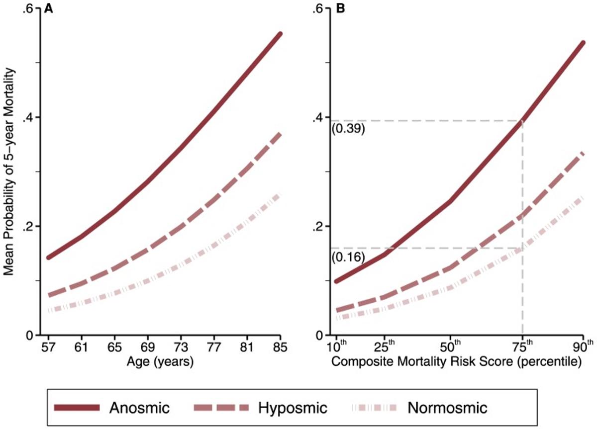 Loss of Smell Predicts Five‑year Mortality Risk