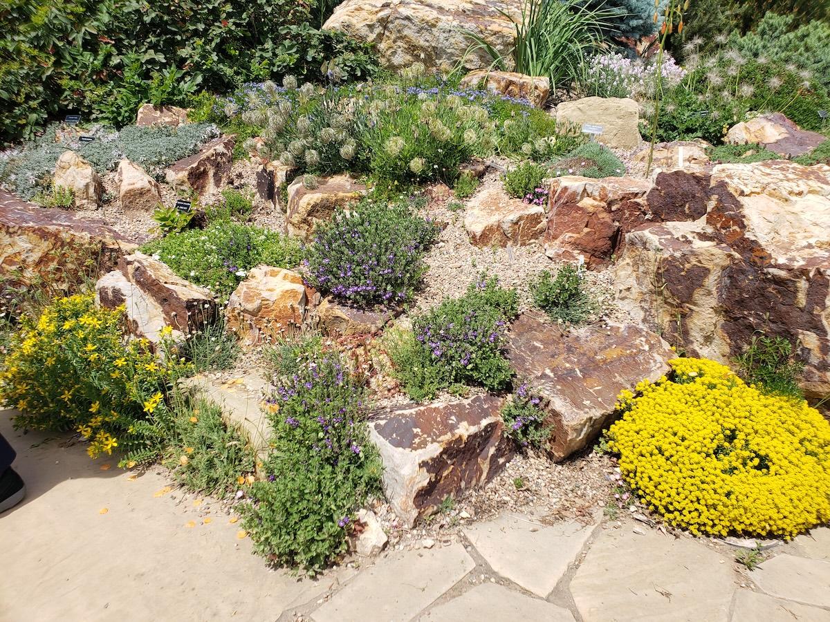 Rocks and Boulders: Unexpected Landscape Workhorses