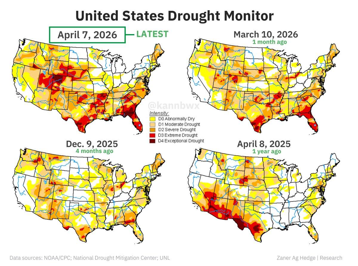 Rain Eases Midwest Corn Drought, Plains Wheat Stays Parched