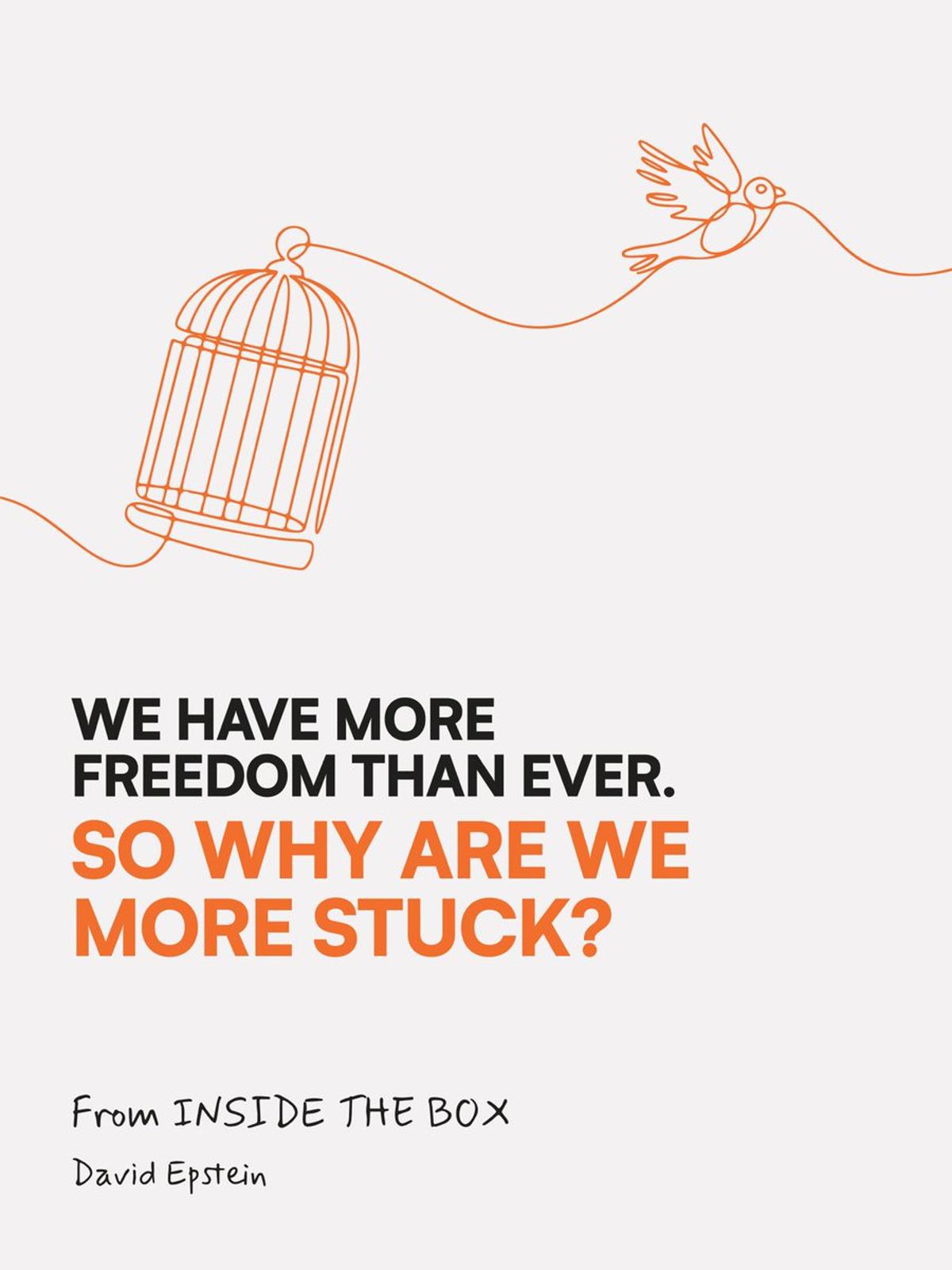 Constraints Unlock Decision‑making, Not Unlimited Choice