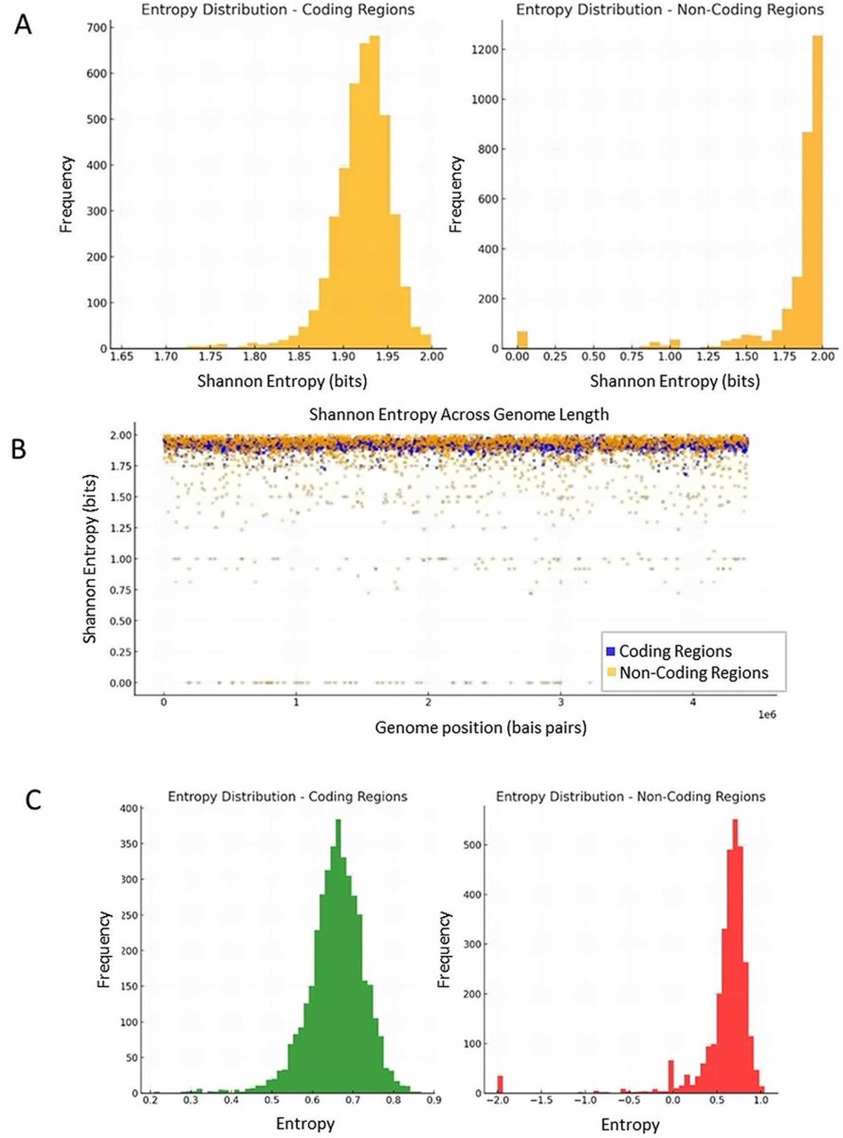 DNA's Quantum Nature Links Aging, Evolution to Cosmic Time