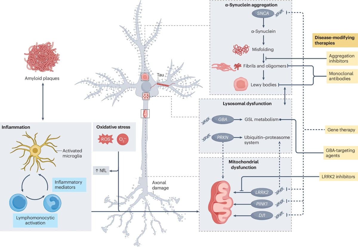 Current and Future Strategies for Parkinson's Therapy