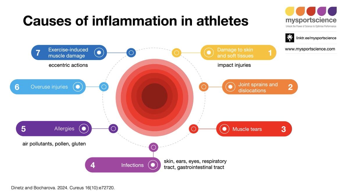 Inflammation: Essential Defense, Harmful When Dysregulated