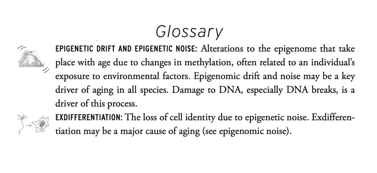 Early Aging Jargon Now Mainstream After Decade-Long Obscurity