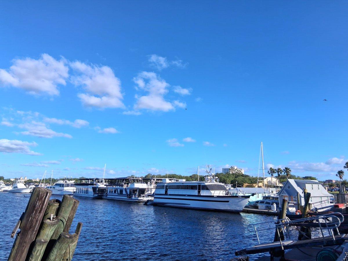 Finding Quiet Healing After Loss at Lake Monroe