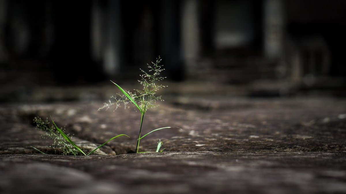 Pressure Tests Systems, Not People: Build Resilient Culture