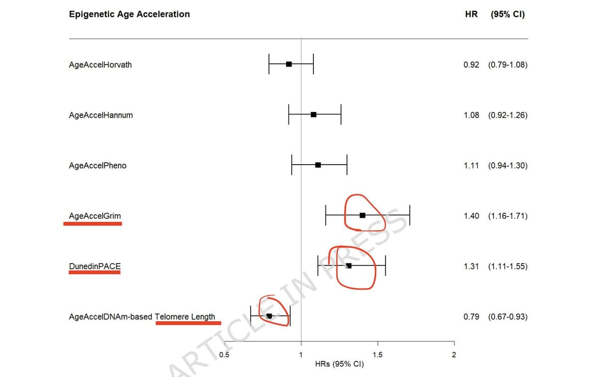 Epigenetic Clocks Predict Lung Cancer Risk Beyond Self‑reports