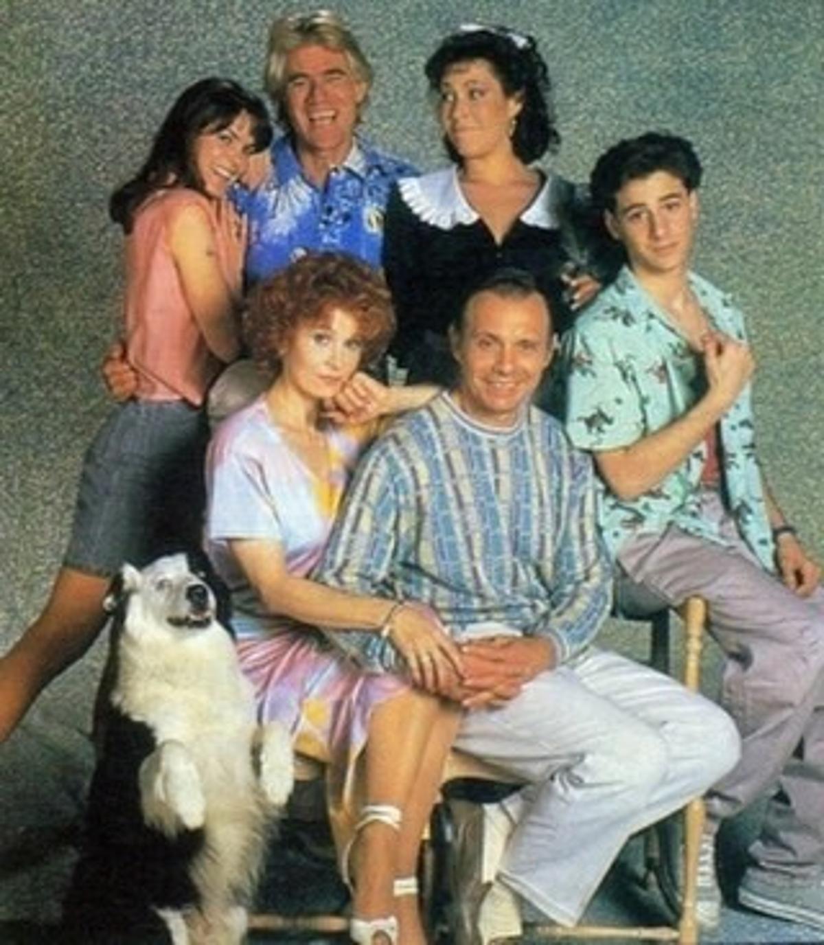 Fox's First Cancellation: Down and Out in Beverly Hills (1987)