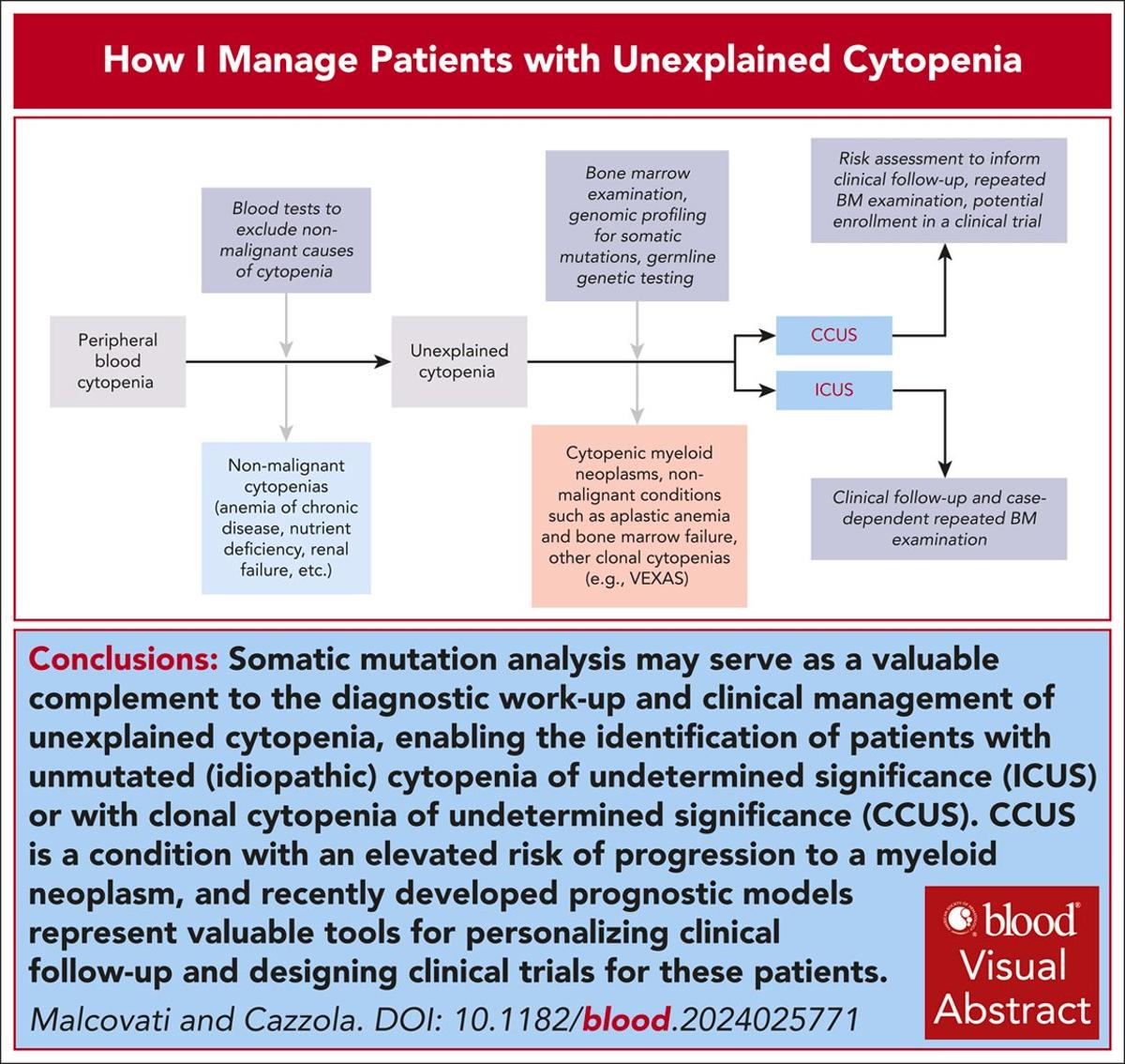 Approach to Unexplained Cytopenia in Clinical Practice