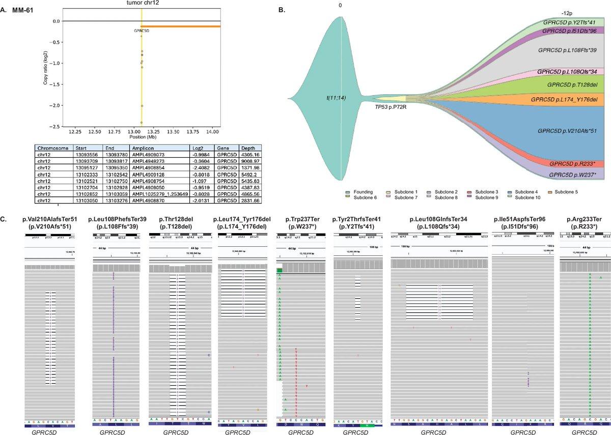 Multiple Myeloma Evades GPRC5D T‑Cell Engagers via Multim