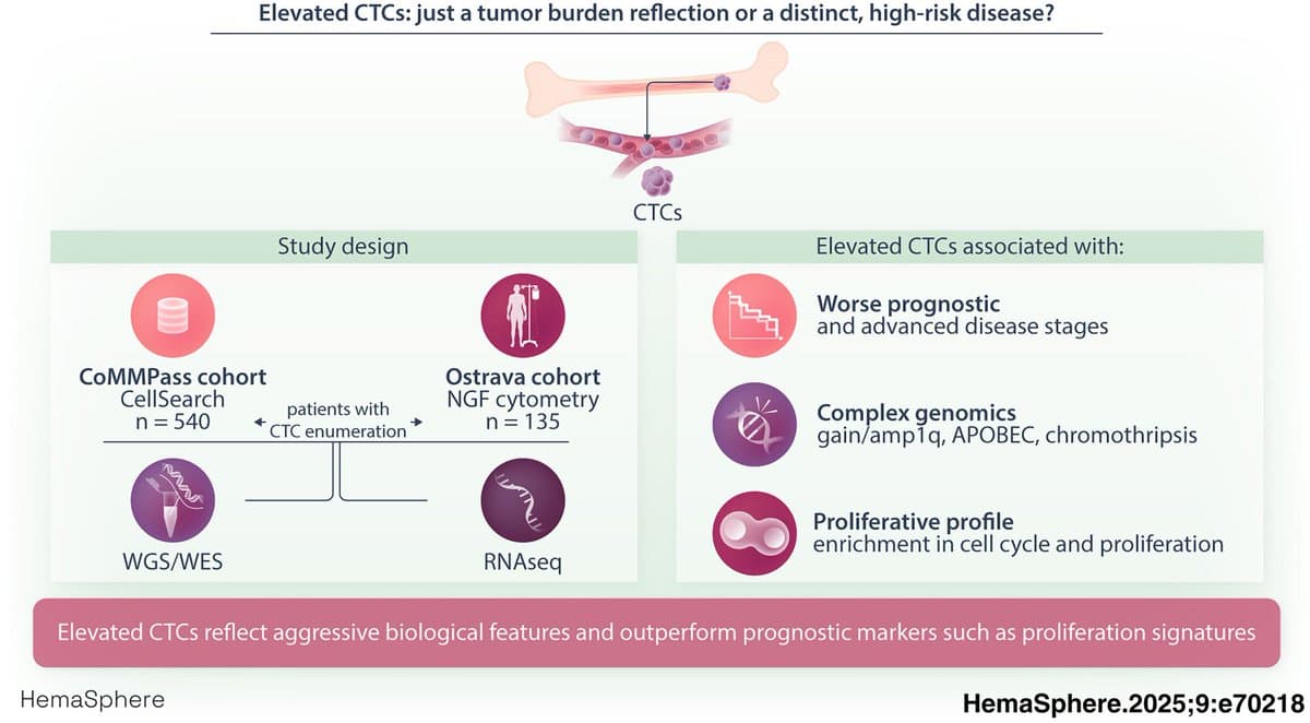 High CTC Levels Signal Aggressive, Genomically Complex Myeloma