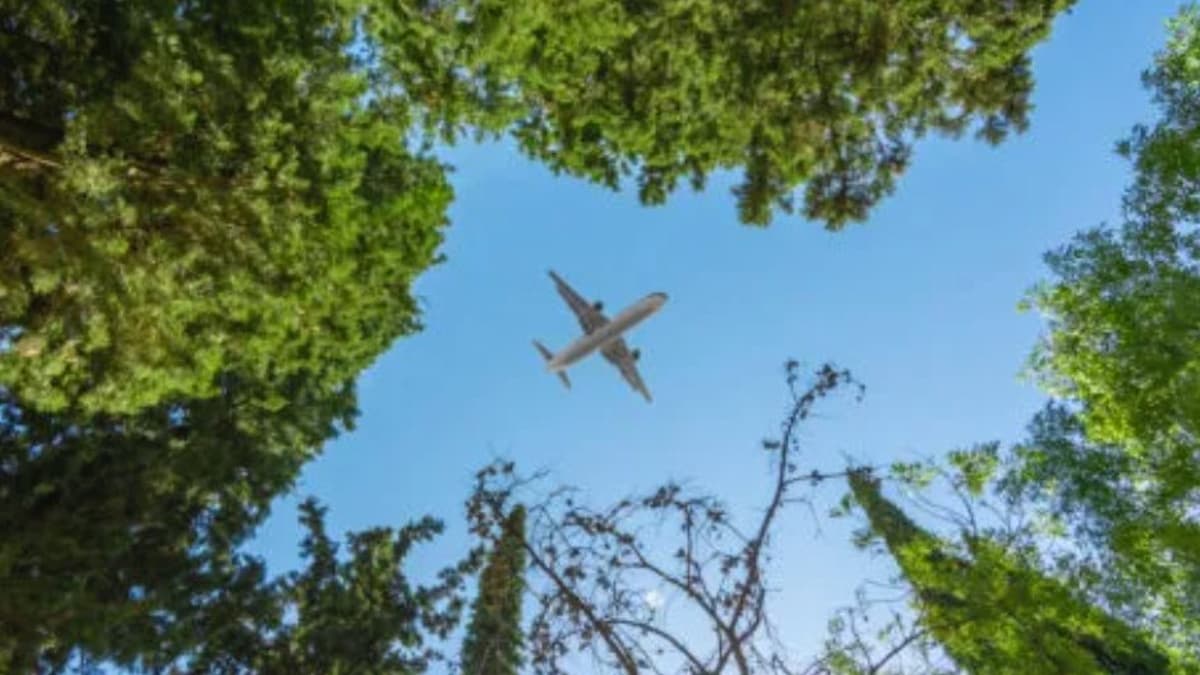 Inclusive Aviation and Sustainability Are Inseparable Goals
