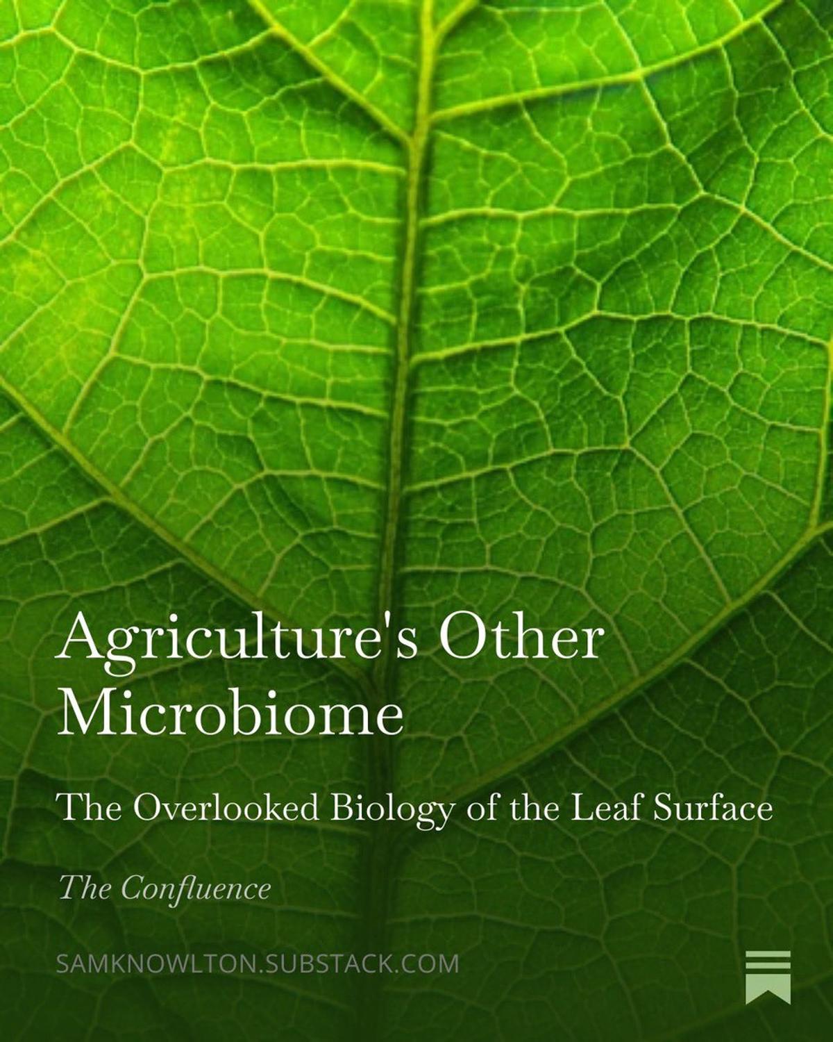 Leaf Microbiome: Untapped Asset Destroyed by Conventional Farming