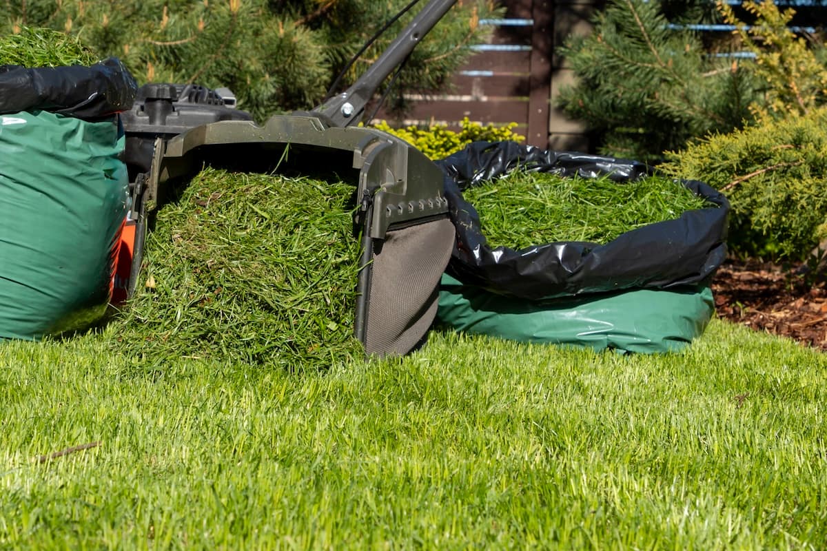 Mulch for Lawn Health, Bag When Necessary