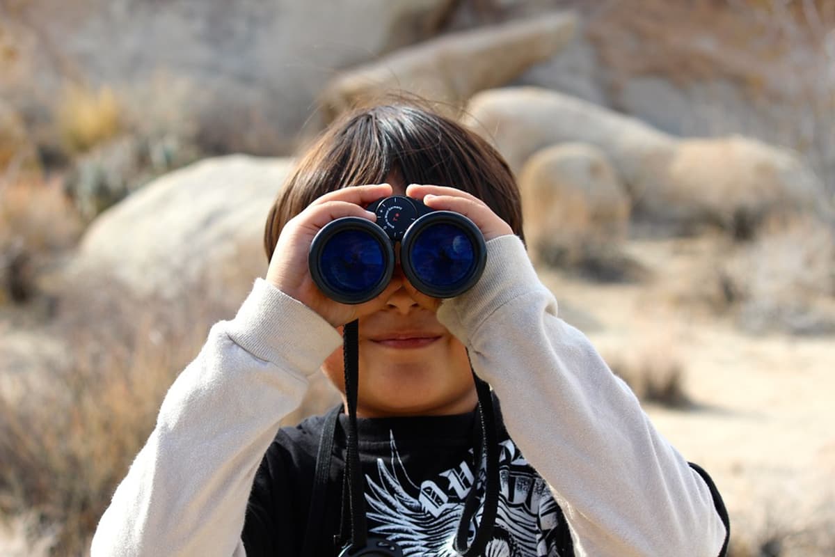 Focus Drives Tasks; Mindfulness Cultivates Presence