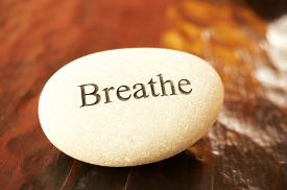 Two Minutes of Breathing Builds Lasting Calm