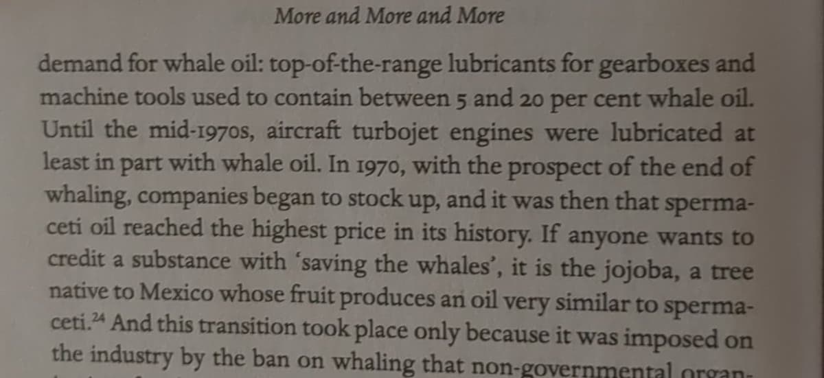Whale Oil Fueled Jets, Not Petroleum, Ended Whaling