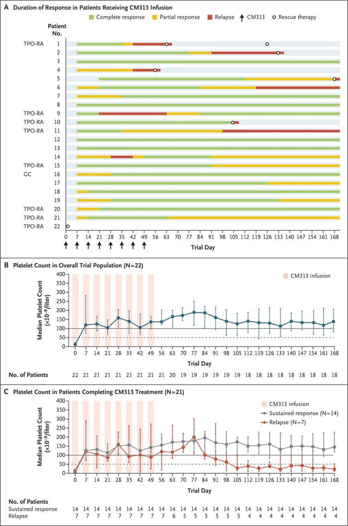 CM313 Shows Promise as New ITP Therapy