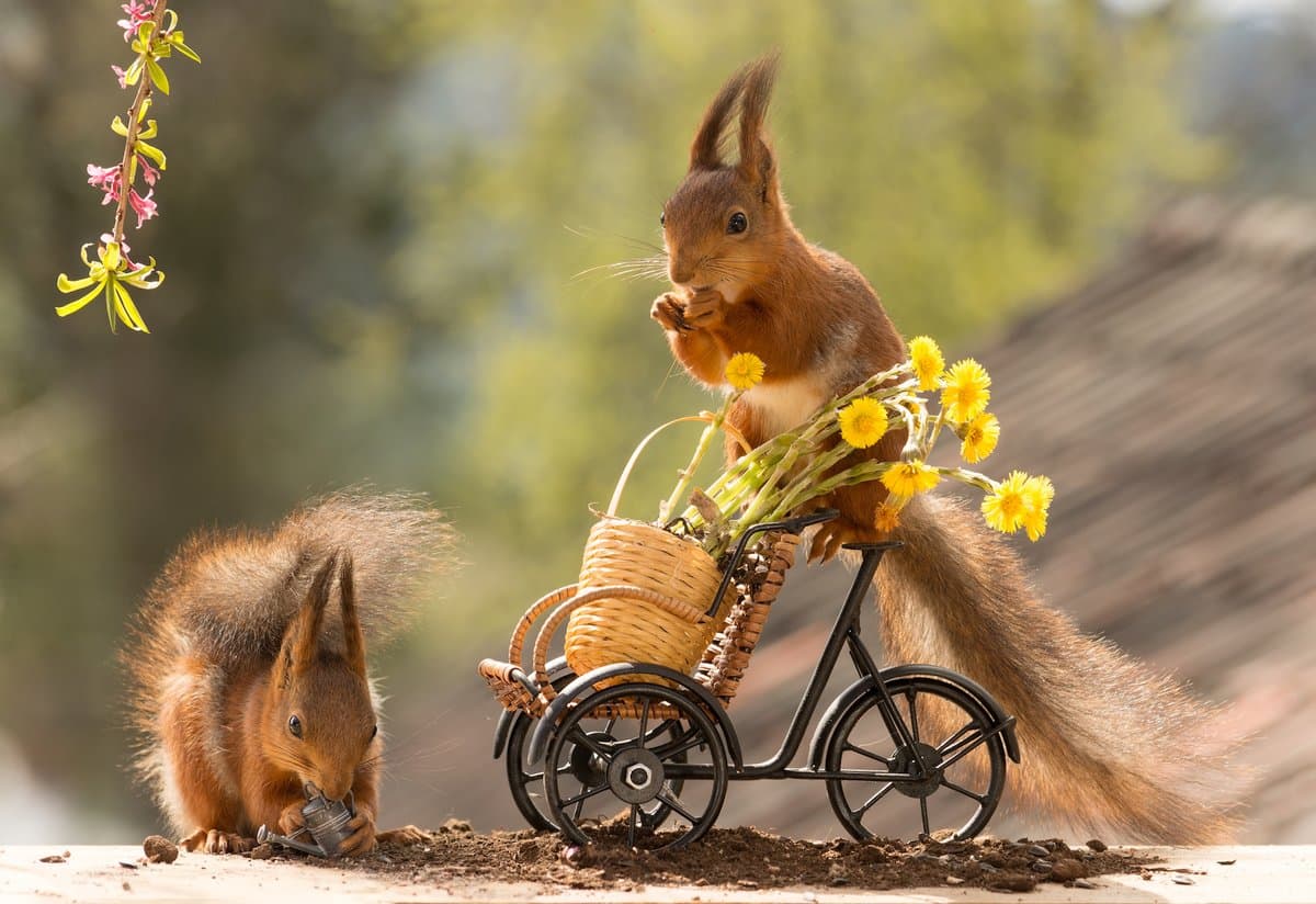 Embrace Unpredictable Moments Through Daily Mindfulness