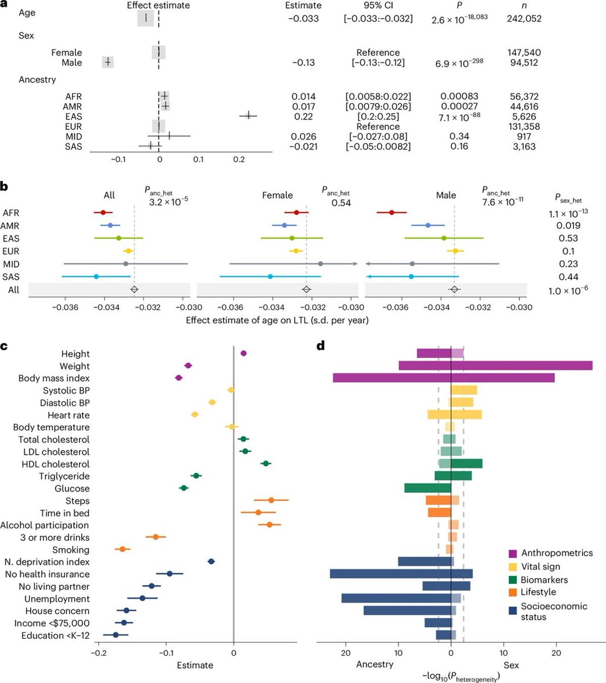 US Study Links Telomere Length to Genes, Traits, Geography