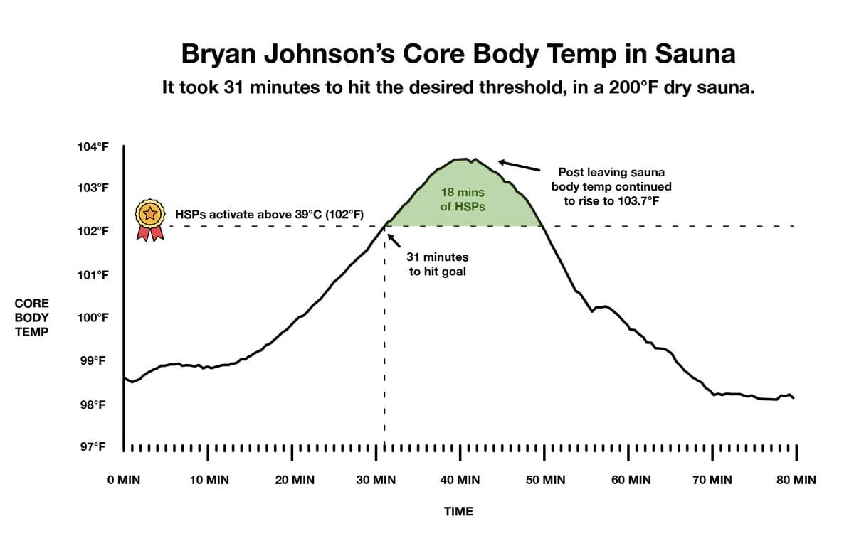 Sauna Benefits Require 31 Minutes to Trigger HSPs