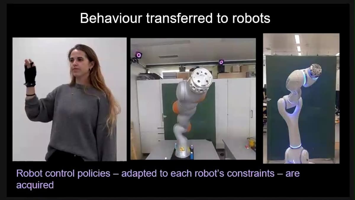 Self‑aware Joint Limits Enable One‑shot Transfer Learning