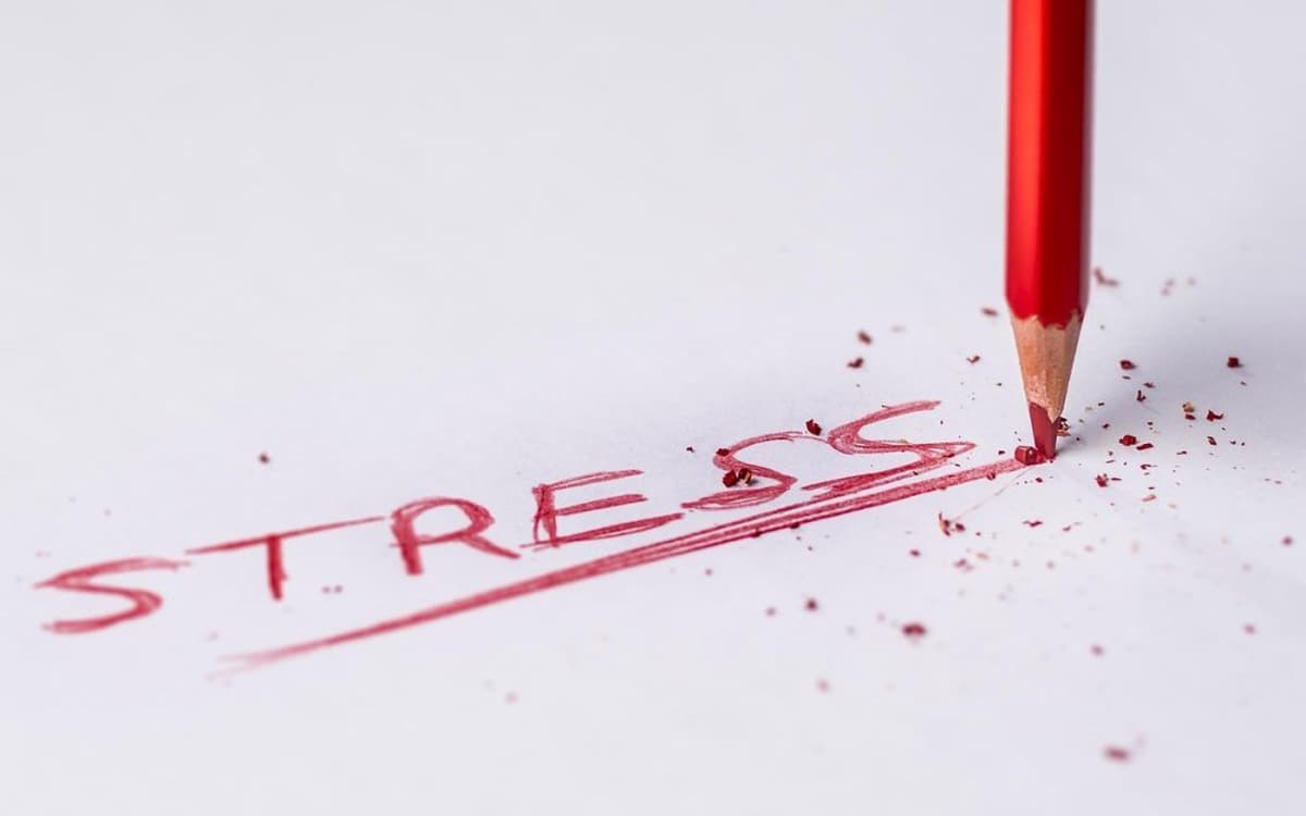 Track Stress Early to Prevent Burnout