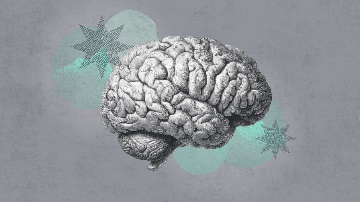 Super‑agers Defy Aging: Brains Stay 25‑year‑old Sharp