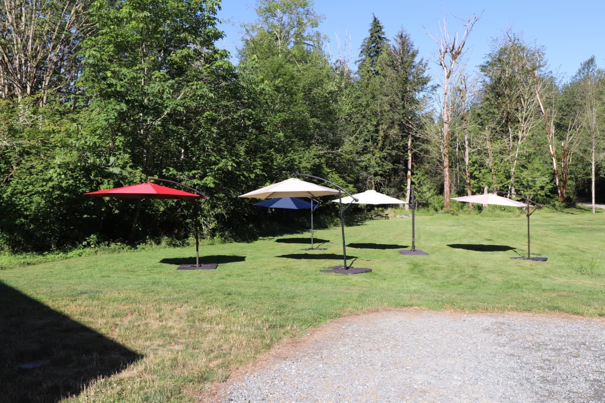 Top Cantilever Umbrellas for Stylish Sun Protection