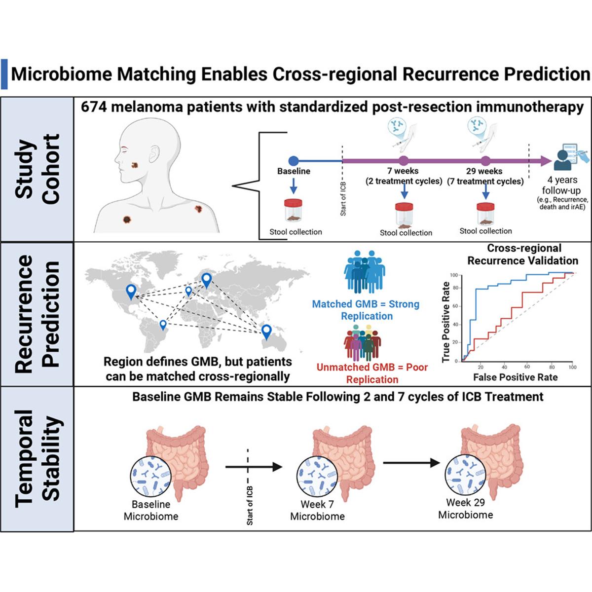 Gut Microbiome Predicts Melanoma Recurrence Post-Immunotherapy