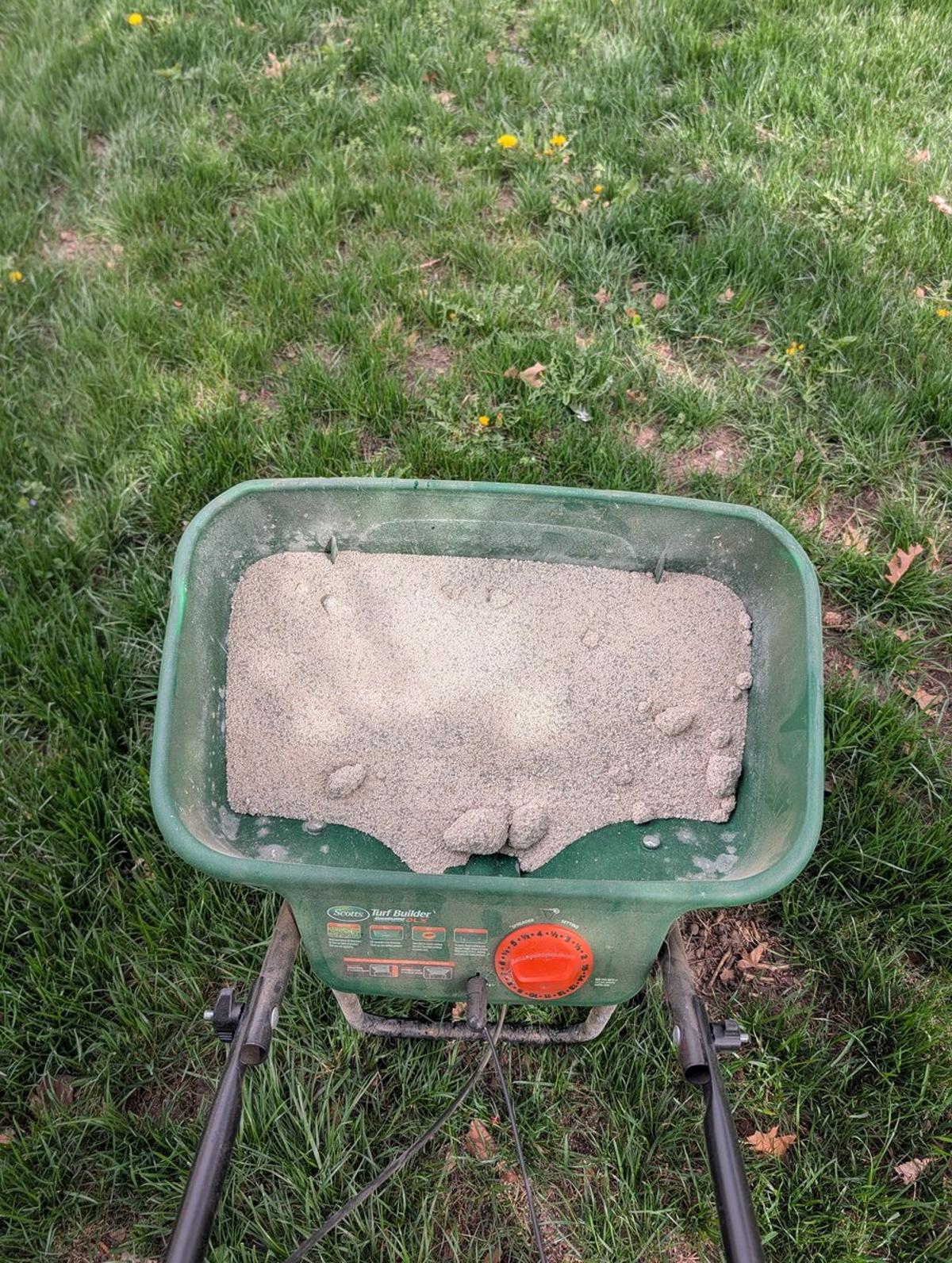 Organic Morganite Kills Weeds in New Lawn