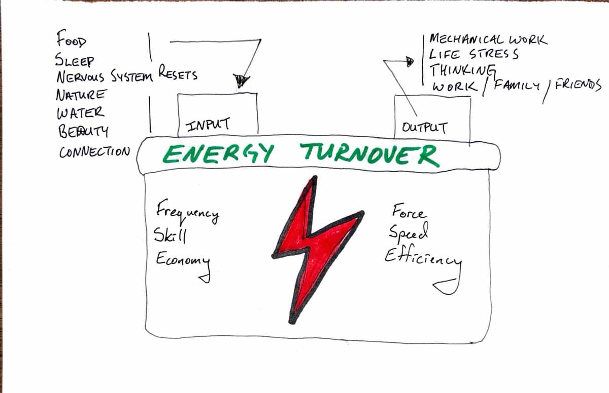 Energy Turnover Predicts Performance Better than Distance
