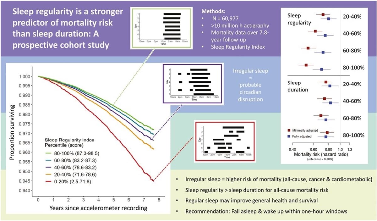 Consistent Sleep Cuts Mortality Risk More Than Duration