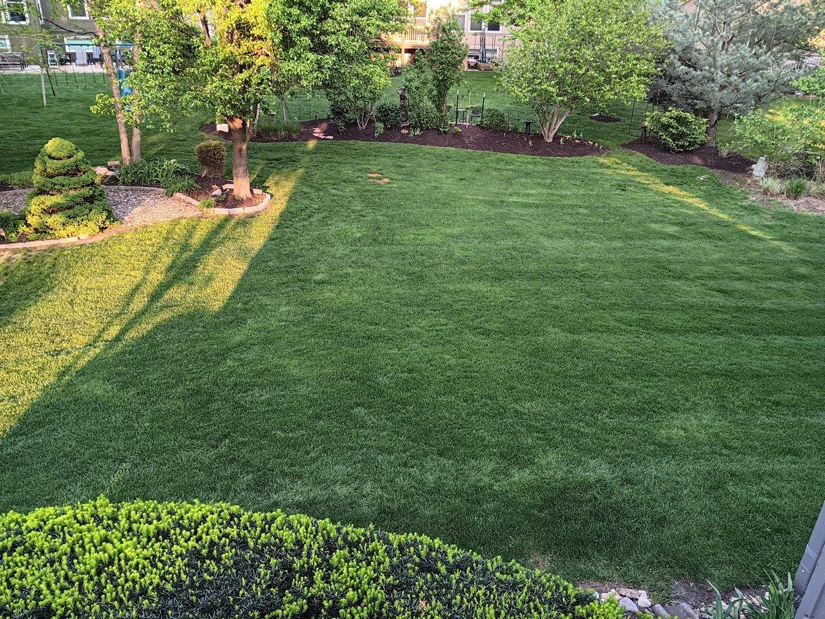 Proactive Treatments Keep Lawn Green Despite Crabgrass, Dandelions