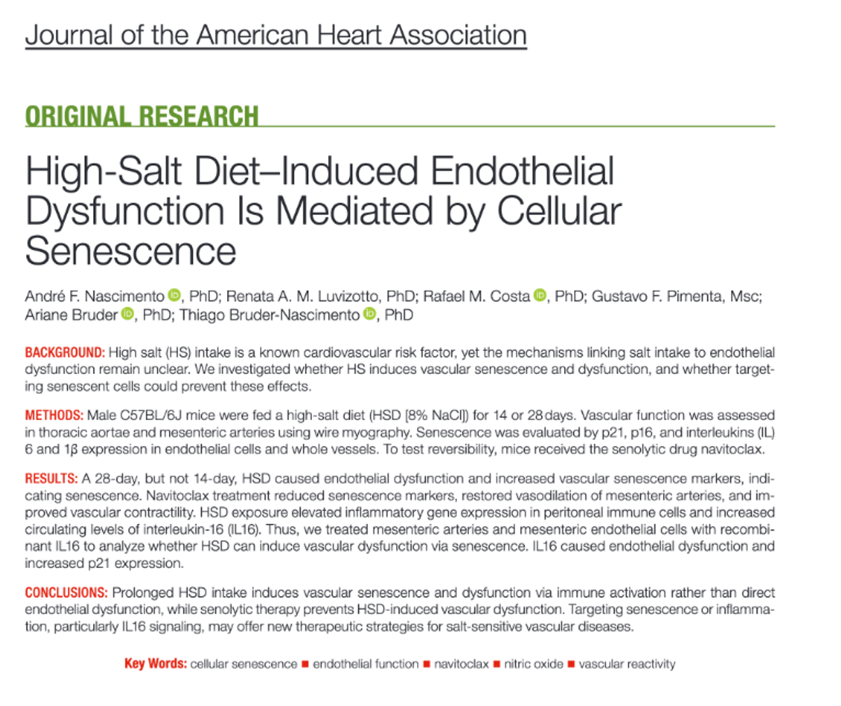 Salt Harms Arteries via Immune‑driven Senescence, Not Direct Toxicity