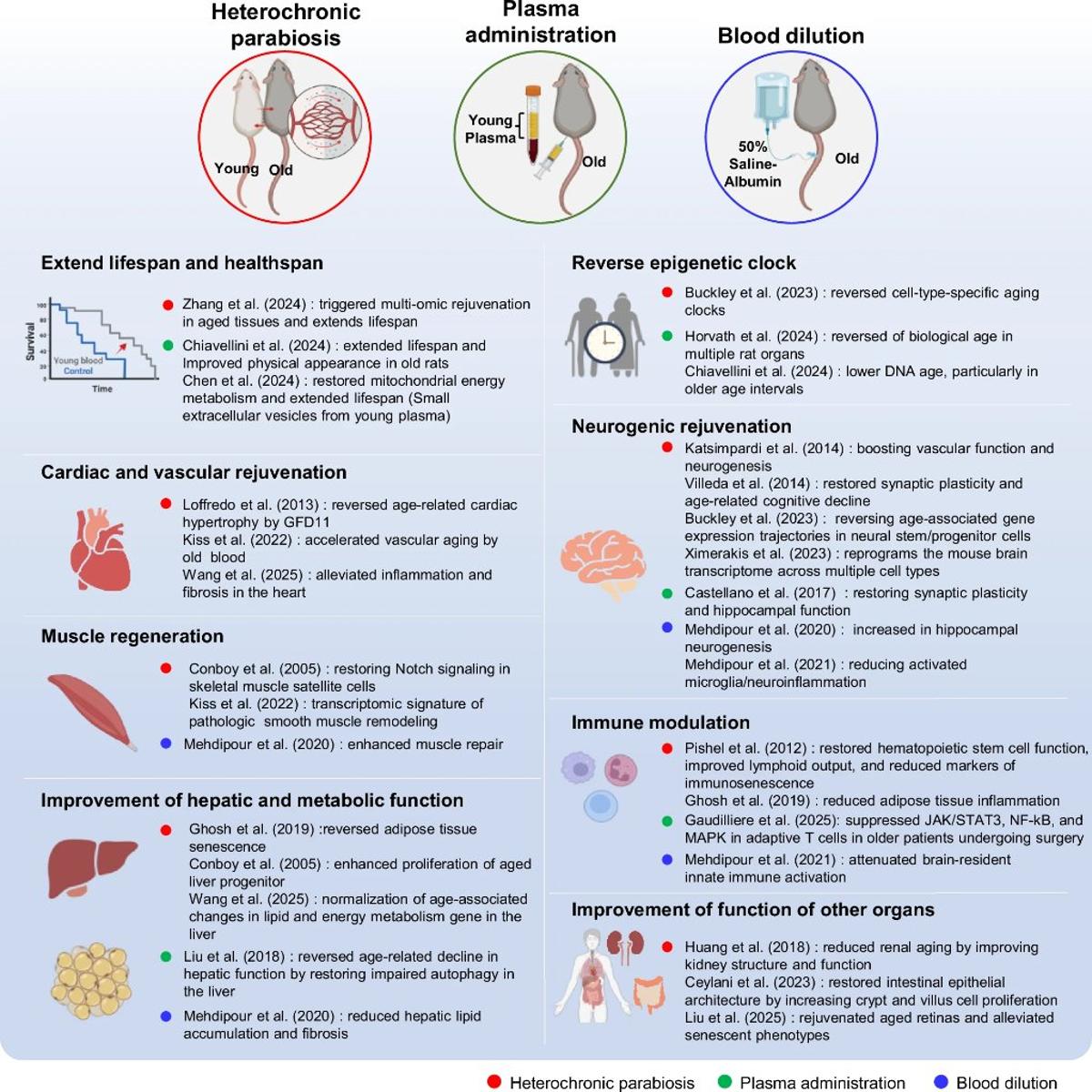 Blood Reveals and Controls Aging Mechanisms