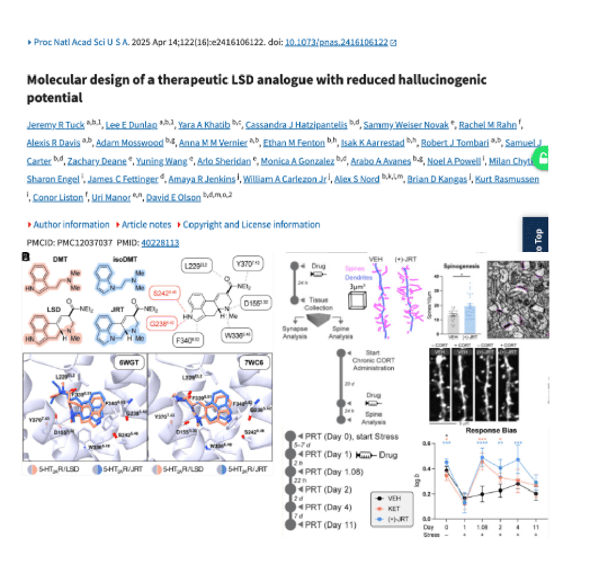 JRT: LSD-Derived Antidepressant Boosts Brain Spines without Hallucinations