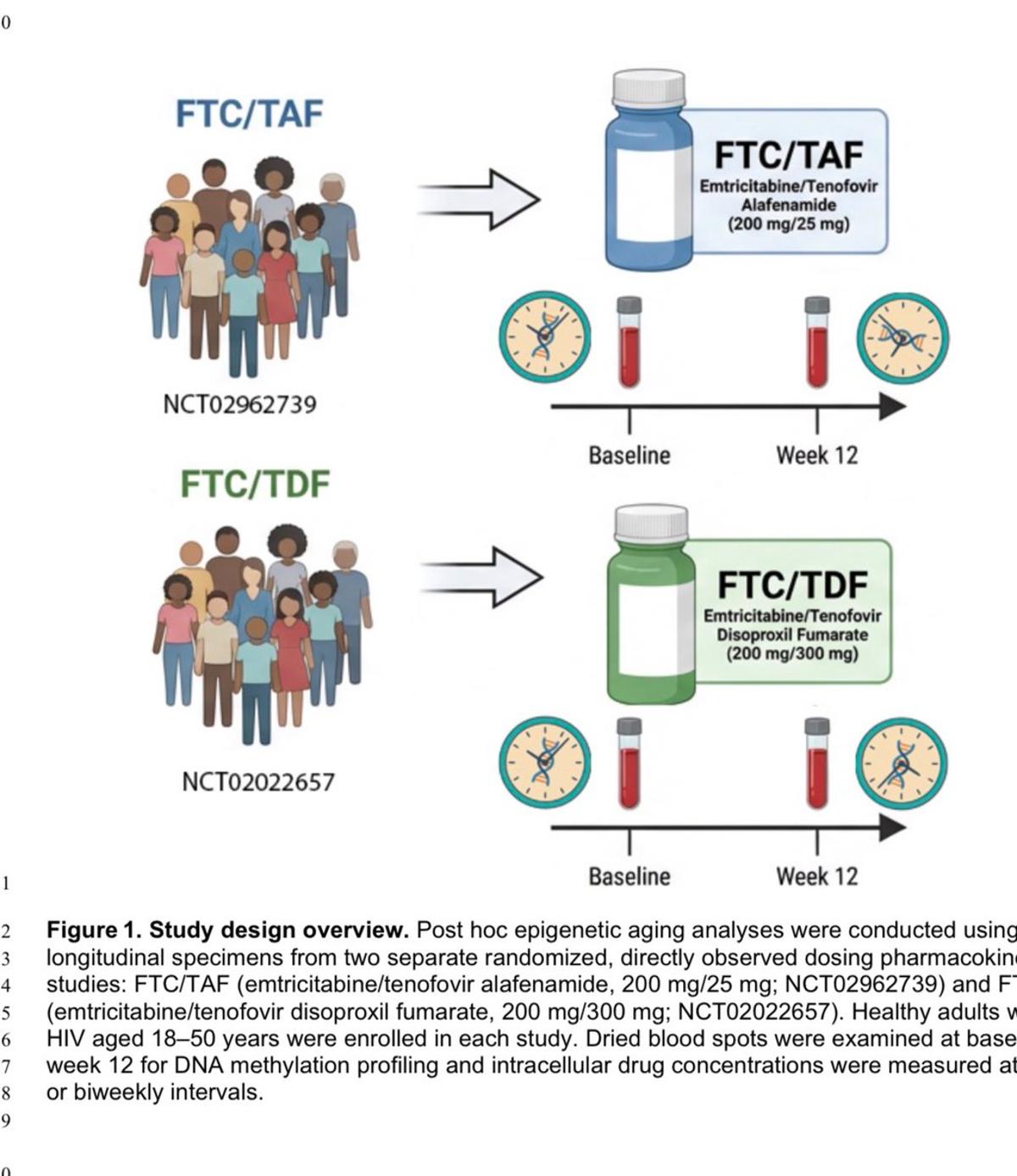 Tenofovir Alafenamide Cuts Biological Age in Adults
