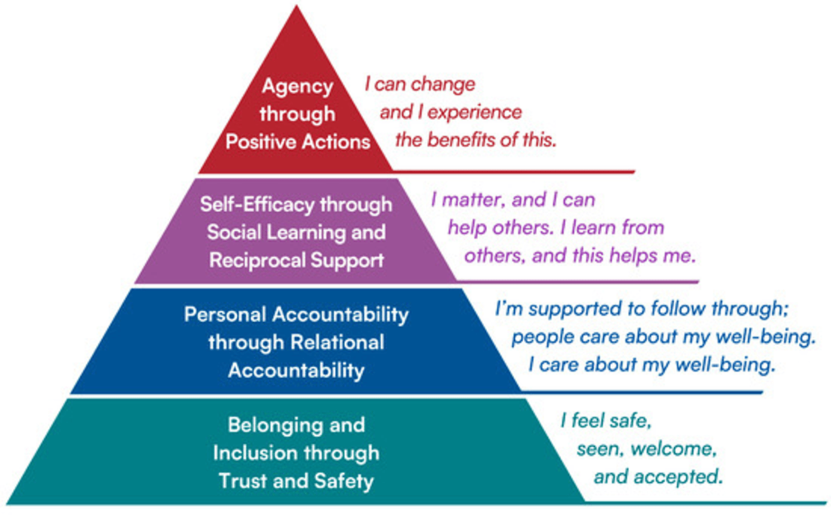 Group Coaching Boosts Mental Health in Seniors