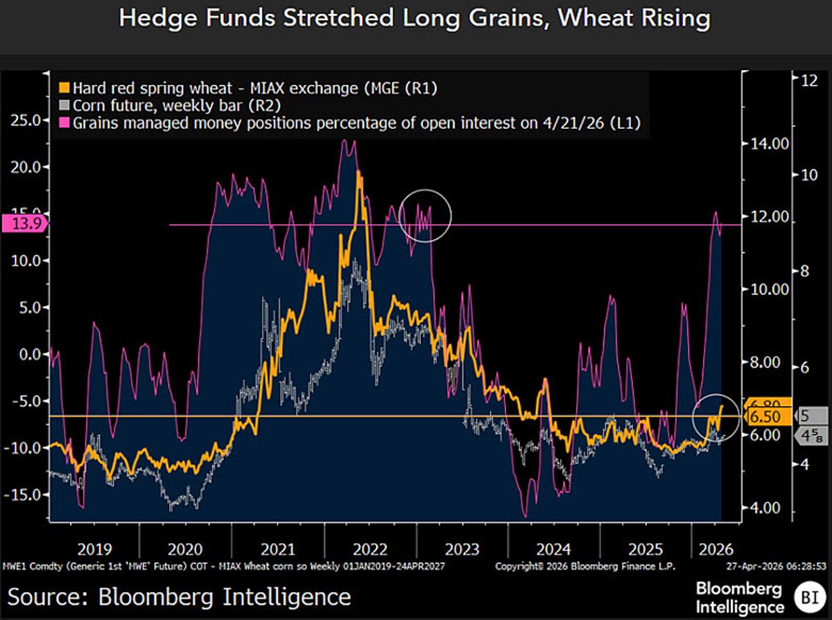 US Wheat Signals Potential 2026 Corn Belt Drought