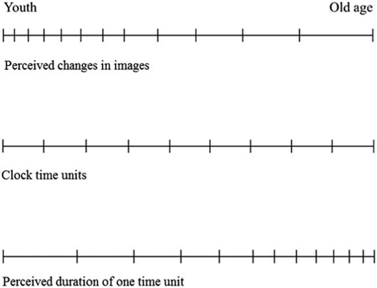 Aging Speeds Time Perception by Reducing Mental Frames