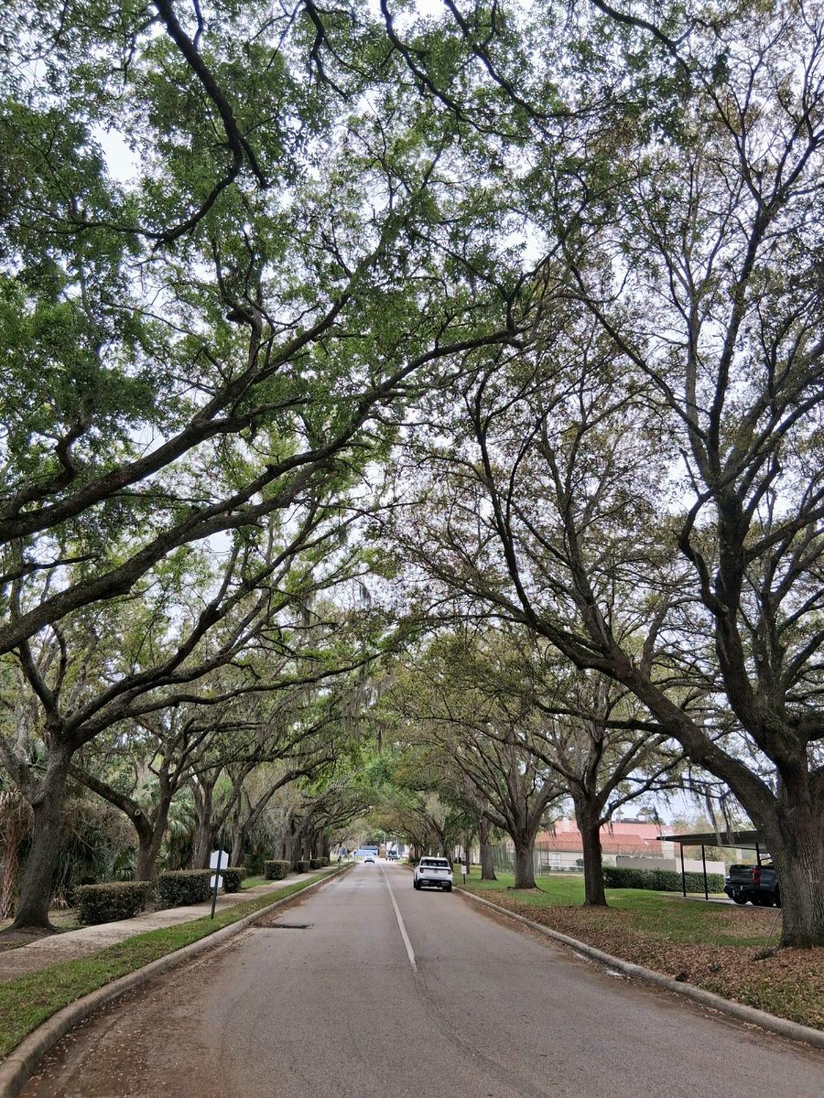 Choose Math Over Fear: Rewrite Your Narrative