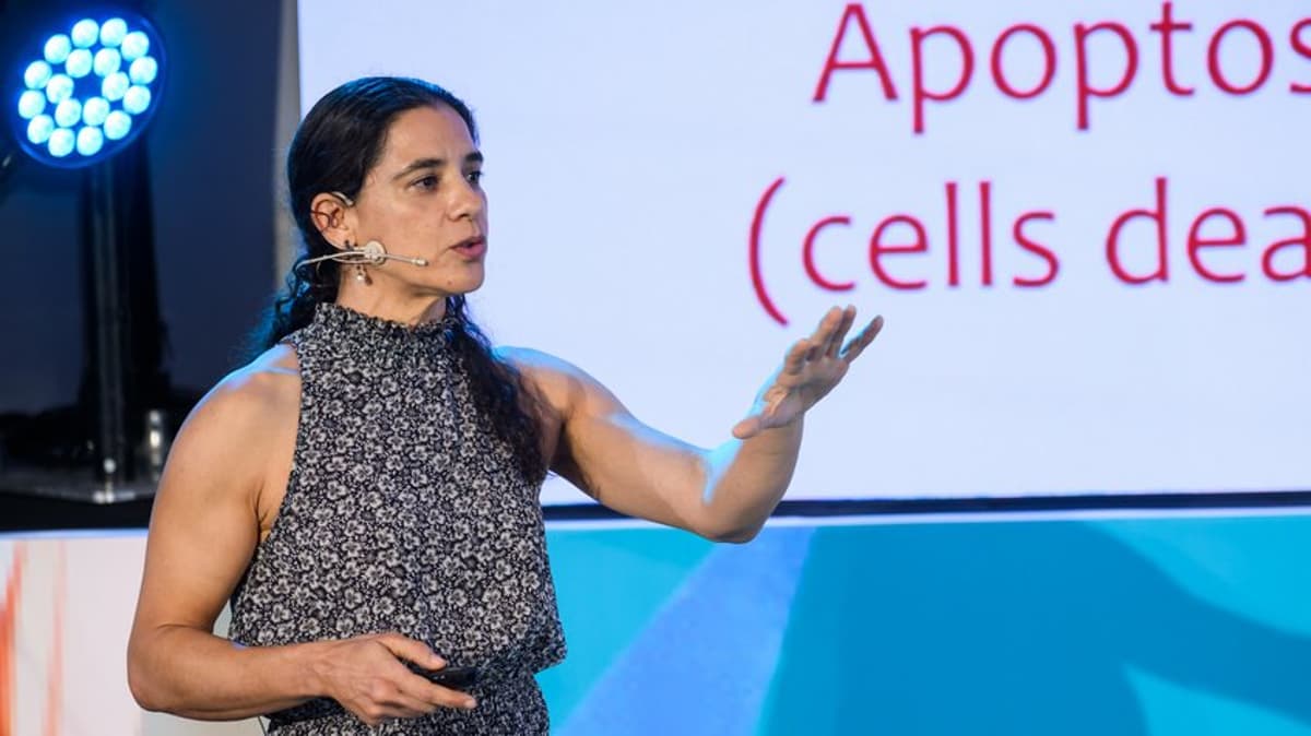 SIRT6 Controls Brain Protein Homeostasis, Slowing Aging