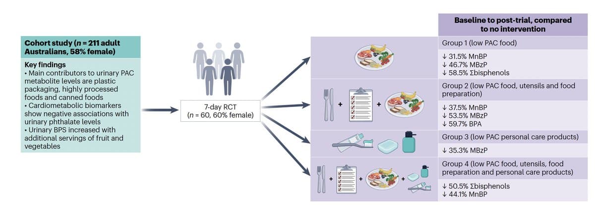 Replacing Personal Care Products Cuts Plastic Chemical Excretion